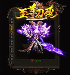 天龙八部私服辅助软件